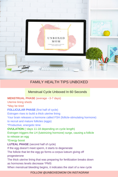 understanding+menstrual+cycle